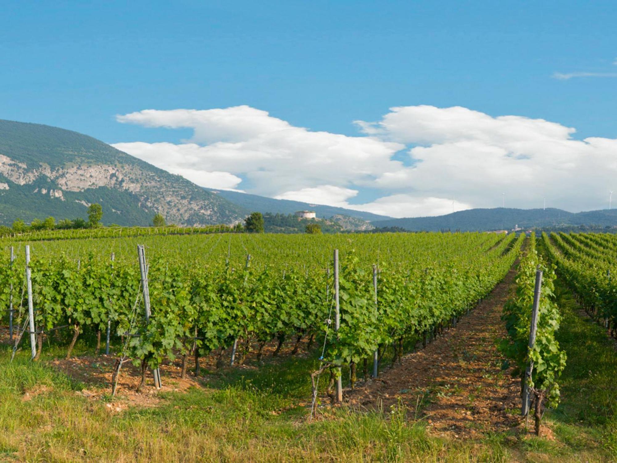 Tenuta La Presa คาปริโน เวโรเนเซ ภายนอก รูปภาพ