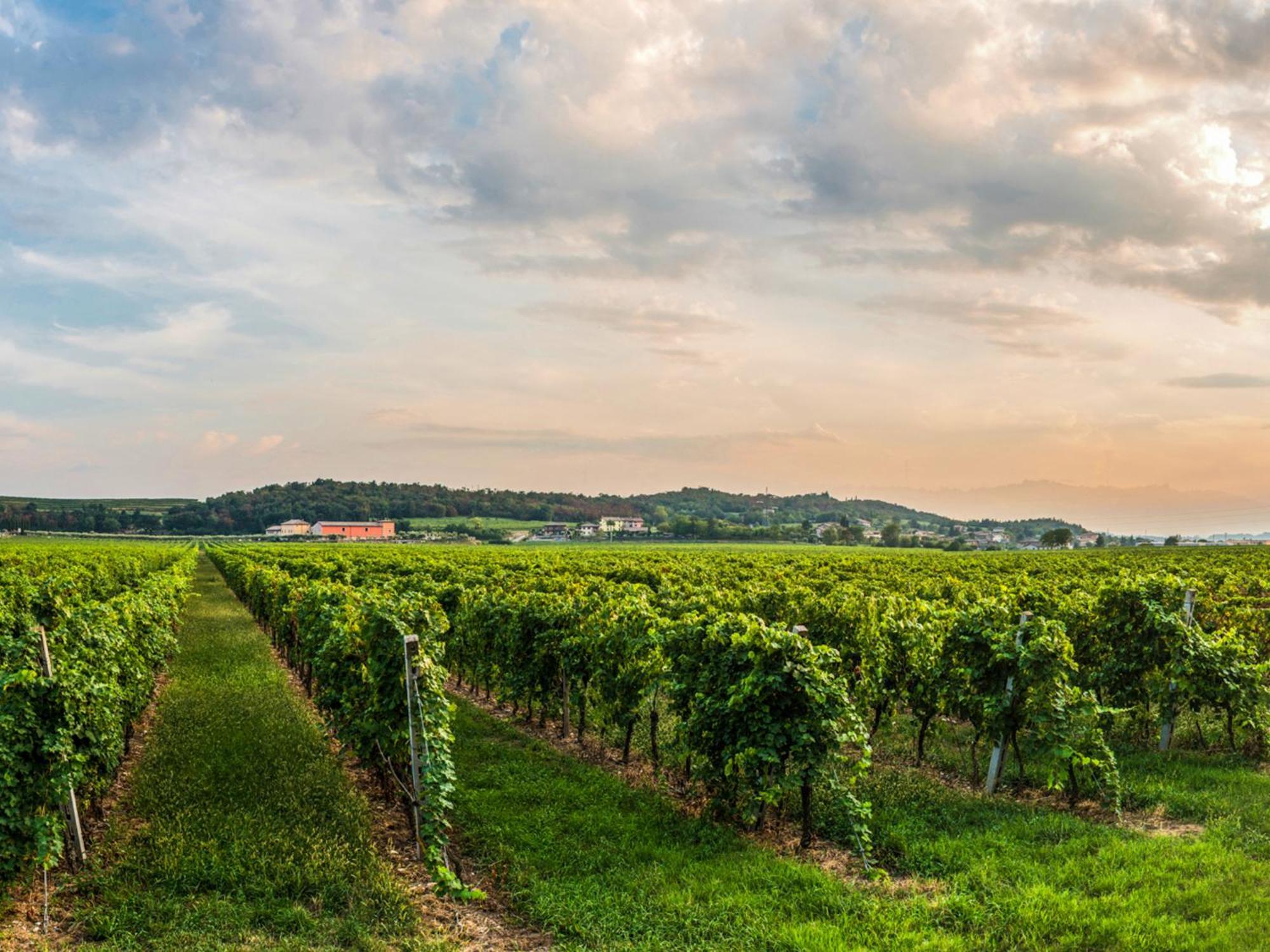 Tenuta La Presa คาปริโน เวโรเนเซ ภายนอก รูปภาพ